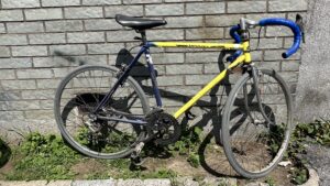 Cycle berquez 24p 12 vitesses